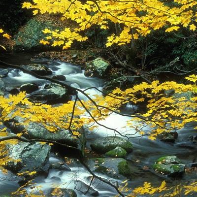 168极速赛车平台·官方网站